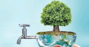 Orman varsa su da var