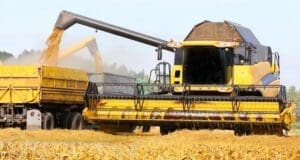 Barilla durum buğday tedarikini yüzde 30 artırdı