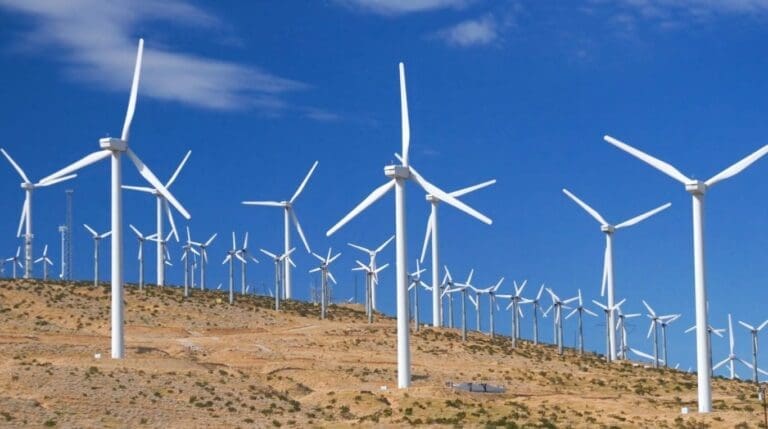 Avrupa elektriğinin yüzde 19’unu rüzgardan karşılıyor