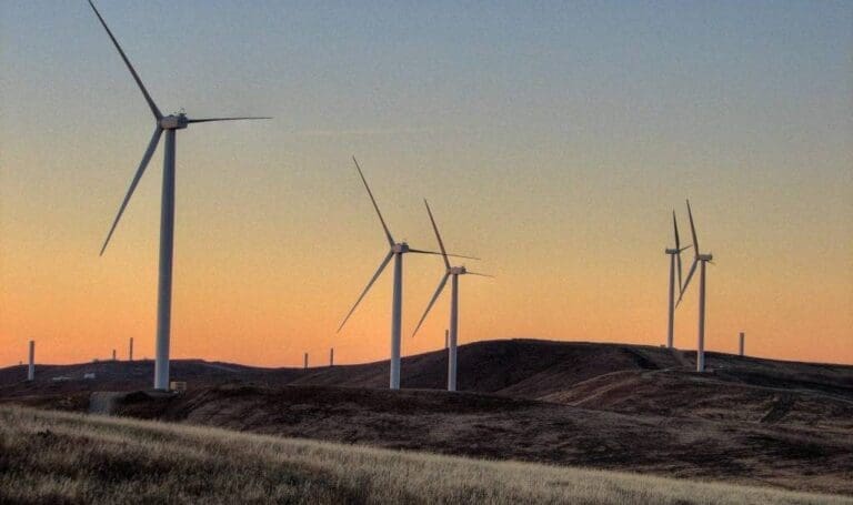 370 MW’lik rüzgar kapasitesi için 3.190 MW’lik başvuru