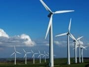 Rüzgar yatırımı artık teşviğe ihtiyaç duymuyor