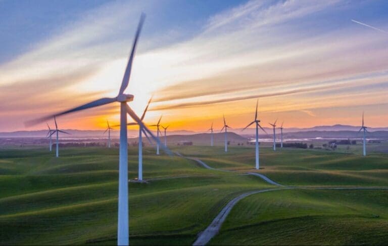 Küresel rüzgar yatırımları 2050’de 311 milyar dolara ulaşacak