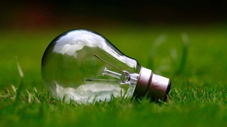 IEA: “Düşen petrol fiyatı yeşil enerjiye geçişi aksatabilir”
