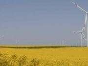 Hugo Boss yeşil elektrik sertifikasını Borusan EnBW’den aldı