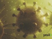 Covid sonrası dünya ve yeşil enerji