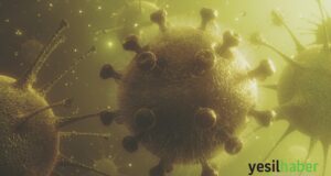 Covid sonrası dünya ve yeşil enerji