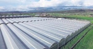 “Jeotermal kaynaklı sera alanını 5 katına çıkarmayı hedefliyoruz”