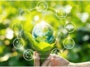 Yeşil işler kazandırıyor!