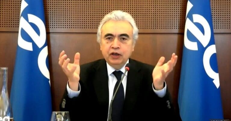 Birol: “Pandemide yenilenebilir enerji güçlenecek”