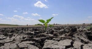 Salgının ve iklim krizinin çözümü yenilenebilir enerjidir!