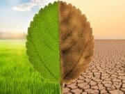 İklim krizi Covid-19’dan daha büyük tehdit