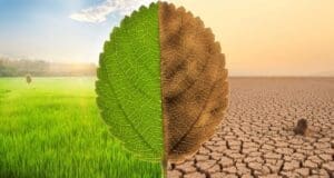 İklim krizi Covid-19’dan daha büyük tehdit