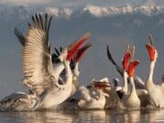 WWF: “Türkiye su fakiri olma yolunda ilerliyor”