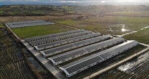 GTC, Hindistan’a yerli güneş paneli ihraç edecek GTC güneş paneli_fabrikasi