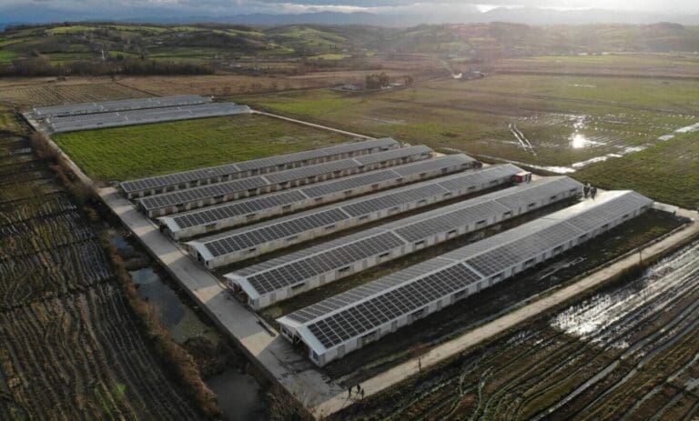 GTC, Hindistan’a yerli güneş paneli ihraç edecek GTC güneş paneli_fabrikasi