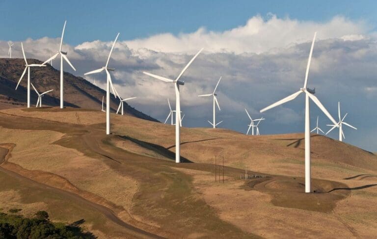 Rüzgardan elektrik üretimi rekor kırdı Rüzgar enerjisinde rekor üretim