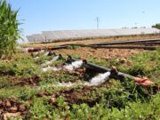 Şanlıurfalı çiftçi tarımsal sulama için güneş sistemi kurdu