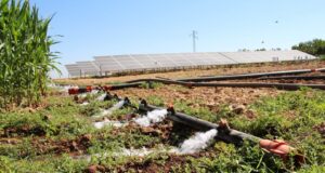 Şanlıurfalı çiftçi tarımsal sulama için güneş sistemi kurdu