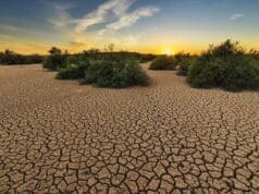 İklim krizinde 2022’de neleri takip etmeliyiz? iklim krizi