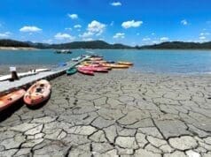 1,5 derece ile 2 derece arasında bir dünya fark var küresel ısınma