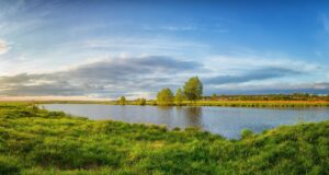 TEMA: Doğayla uyumlu yaşamaktan başka çaremiz yok Çevre Günü
