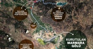 Babalar Günü için Ömürlük Yaşayan Çınarlar Hatıra OrmanıBabalar Günü için Ömürlük Yaşayan Çınarlar Hatıra Ormanı