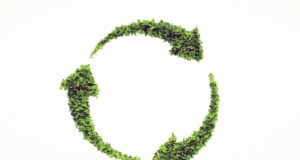 İklim Değişikliği Başkanlığı Kurumsallaşıyor: Sera gazında denetim dönemi