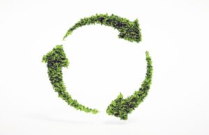 İklim Değişikliği Başkanlığı Kurumsallaşıyor: Sera gazında denetim dönemi