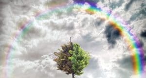 İnsan kaynaklı iklim değişimlerinin hava olaylarına etkisi