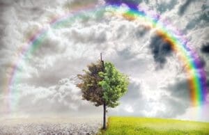 İnsan kaynaklı iklim değişimlerinin hava olaylarına etkisi