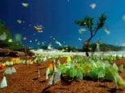 İnsanlık için kırmızı alarm seviyesi çoktan aşıldı Yaşayan Gezegen Raporu