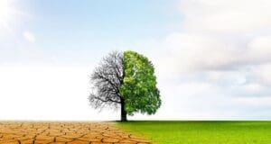 Çevreyi zengin ülkeler kirletiyor, bedelini fakir ülkeler ödüyor İklim Değişikliği