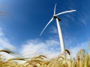 Rüzgardan elektrik üretiminde rekor Ülke enerji