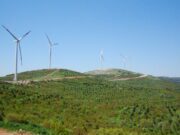 Rüzgar enerjisinden elektrik üretimi yeni rekor kırdı rüzgar enerjisi rekoru