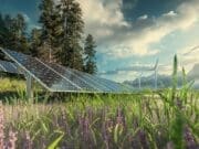 MW100 araştırması yayınlandı: “Yeşil enerjiye dönüşüm hızlandı” yeşil enerji dönüşümü