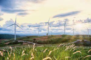 Henkel elektriğinin yüzde 70’ini temiz enerjiden sağlıyor Henkel yenilenebilir enerji kullanımı