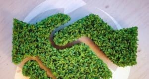 Türkiye, Yeşil Mutabakat’ı avantaja çevirebilir Türkiye, Yeşil Mutabakatı avantaja çevirebilir