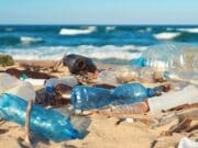 plastik kirliliği