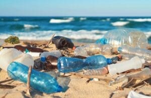 Her bir dakikada çöp kamyonu kadar plastik atık denizlere karışıyor plastik kirliliği