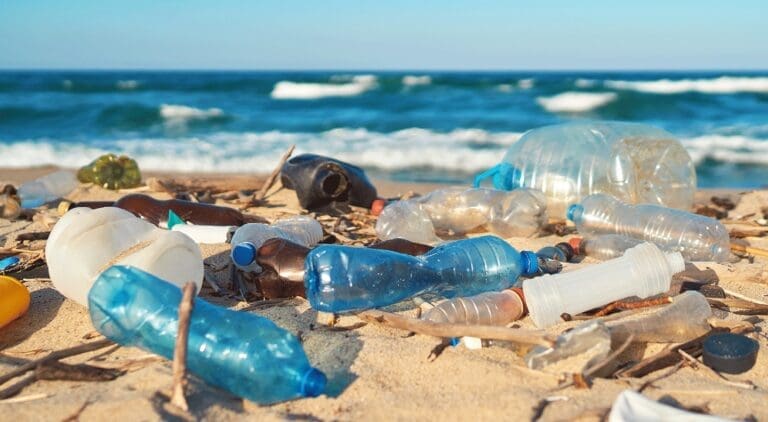 plastik kirliliği