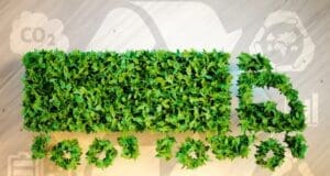 Sınırda Karbon Düzenleme Mekanizması