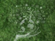 techasaY sürdürülebilir teknolojilerle şirketlere hizmet veriyor techasaY