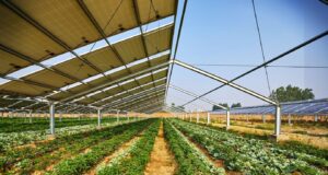 Avrupa’da tarım ve güneş enerjisi birleşiyor Tarımsal Güneş Panelleri Agrivoltaik Potansiyeli Avrupa'nın 2030 Hedefleri