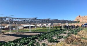 Türkiye’nin ilk güneş takip sistemli Tarım GES’i Ayaş’da kuruldu Güneş takip sistemli tarım GES ODTÜ-GÜNAM Ayaş Tarım GES