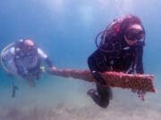 İş Bankası deniz temizliği Büyükada sürdürülebilirlik adımları Denizlerin Geleceği: Deniz Çayırları projesi
