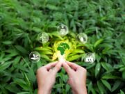 CK Enerji yenilenebilir enerji dönüşümü Türkiye'de yeşil enerji yatırımları Yeşil Enerji Dönüşümü