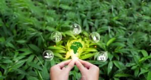 CK Enerji yenilenebilir enerji dönüşümü Türkiye'de yeşil enerji yatırımları Yeşil Enerji Dönüşümü