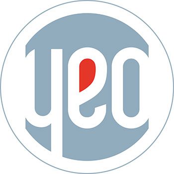 YEO Teknoloji Suudi Arabistan yatırımı Borsa İstanbul YEO Teknoloji hisse etkisi YEO Teknoloji enerji ve altyapı projeleri