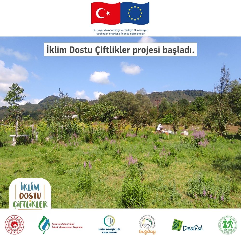 Buğday Derneği İklim Dostu Çiftlikler Sürdürülebilir Tarım Projeleri Türkiye Ekolojik Çiftçilik Yenilikleri ve Eğitimler