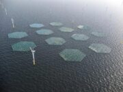 OranjeWind Yüzer Güneş Enerjisi Projesi Türkiye Yenilenebilir Enerji Gelişmeleri Rüzgar ve Güneş Enerjisinin Entegrasyonu